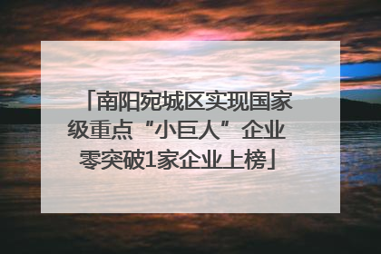南阳宛城区实现国家级重点“小巨人”企业零突破1家企业上榜
