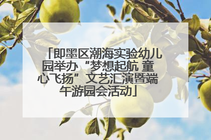 即墨区潮海实验幼儿园举办“梦想起航 童心飞扬”文艺汇演暨端午游园会活动