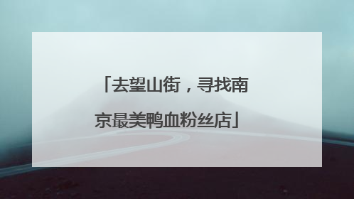 去望山街，寻找南京最美鸭血粉丝店