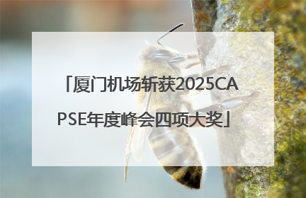 厦门机场斩获2025CAPSE年度峰会四项大奖