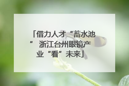 借力人才“蓄水池” 浙江台州眼镜产业“看”未来