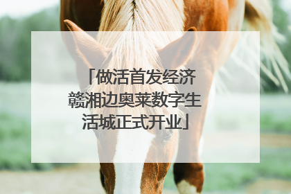 做活首发经济 赣湘边奥莱数字生活城正式开业
