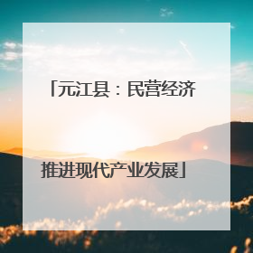 元江县：民营经济推进现代产业发展