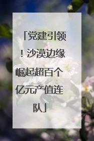 党建引领！沙漠边缘崛起超百个亿元产值连队