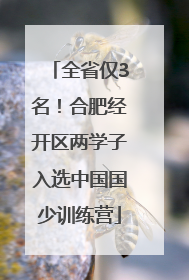 全省仅3名！合肥经开区两学子入选中国国少训练营