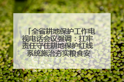 全省耕地保护工作电视电话会议强调：扛牢责任守住耕地保护红线 系统施治夯实粮食安全根基 王宁作出批示 王予波出席并讲话