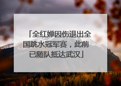 全红婵因伤退出全国跳水冠军赛，此前已随队抵达武汉