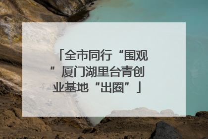 全市同行“围观”厦门湖里台青创业基地“出圈”