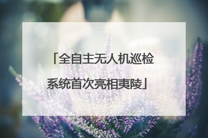 全自主无人机巡检系统首次亮相夷陵