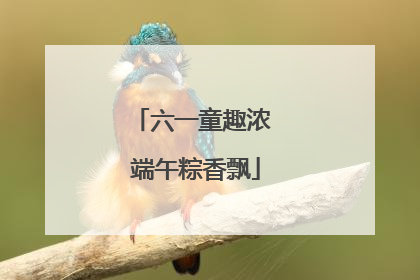 六一童趣浓 端午粽香飘