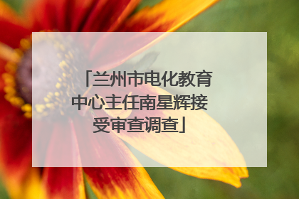 兰州市电化教育中心主任南星辉接受审查调查