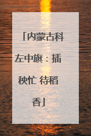 内蒙古科左中旗：插秧忙 待稻香