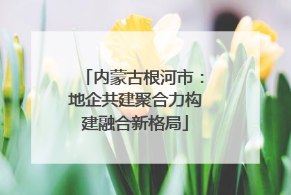 内蒙古根河市：地企共建聚合力构建融合新格局