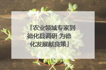 农业领域专家到德化县调研 为德化发展献良策