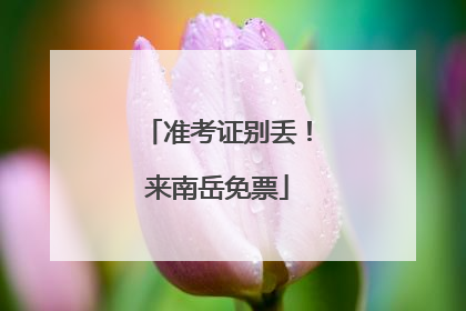 准考证别丢！来南岳免票