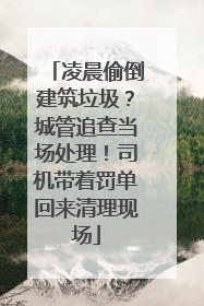 凌晨偷倒建筑垃圾？城管追查当场处理！司机带着罚单回来清理现场