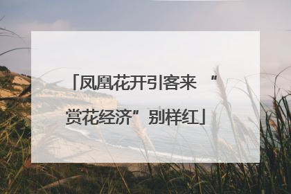 凤凰花开引客来 “赏花经济”别样红