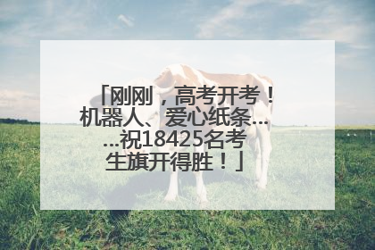 刚刚，高考开考！机器人、爱心纸条……祝18425名考生旗开得胜！