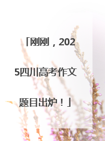 刚刚，2025四川高考作文题目出炉！