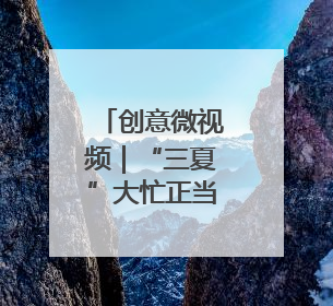 创意微视频｜“三夏”大忙正当时 麦浪滚滚穗飘香