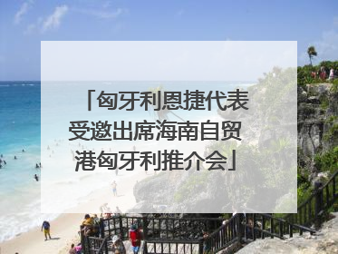 匈牙利恩捷代表受邀出席海南自贸港匈牙利推介会