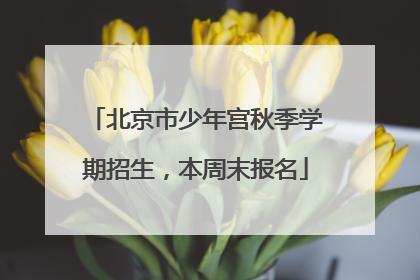 北京市少年宫秋季学期招生，本周末报名