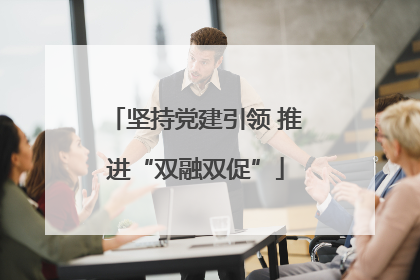 坚持党建引领 推进“双融双促”