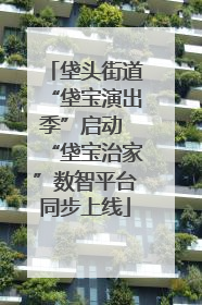 垡头街道“垡宝演出季”启动 “垡宝治家”数智平台同步上线