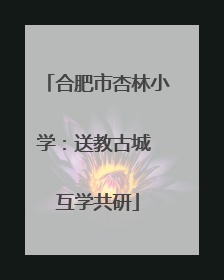 合肥市杏林小学：送教古城 互学共研