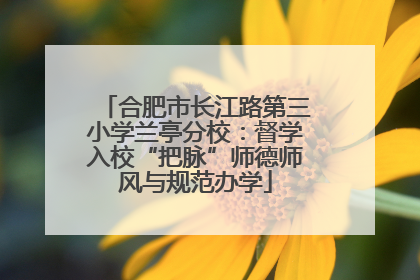 合肥市长江路第三小学兰亭分校：督学入校“把脉”师德师风与规范办学