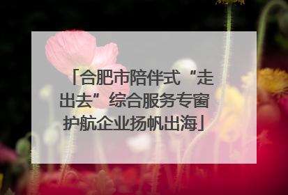 合肥市陪伴式“走出去”综合服务专窗护航企业扬帆出海