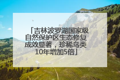 吉林波罗湖国家级自然保护区生态修复成效显著，珍稀鸟类10年增加5倍