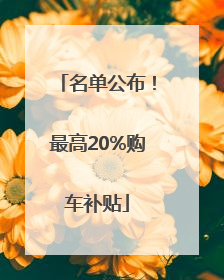 名单公布！最高20%购车补贴