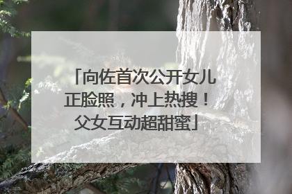 向佐首次公开女儿正脸照，冲上热搜！父女互动超甜蜜