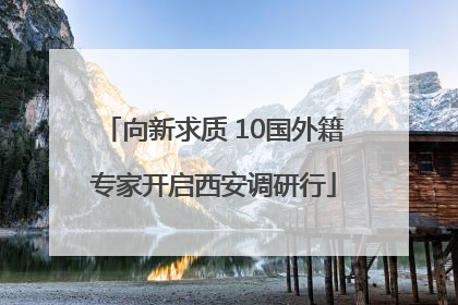 向新求质 10国外籍专家开启西安调研行