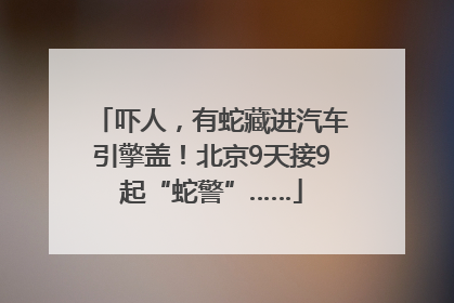 吓人，有蛇藏进汽车引擎盖！北京9天接9起“蛇警”……