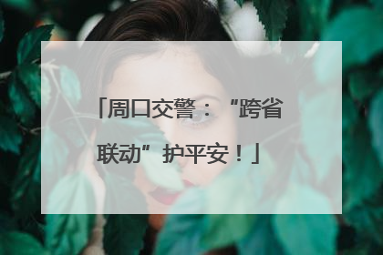 周口交警：“跨省联动”护平安！