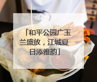和平公园广玉兰盛放，江城夏日添雅韵