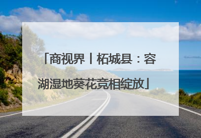 商视界丨柘城县：容湖湿地葵花竞相绽放