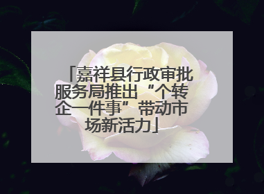 嘉祥县行政审批服务局推出“个转企一件事”带动市场新活力
