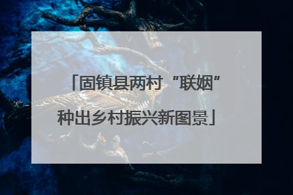 固镇县两村“联姻”种出乡村振兴新图景