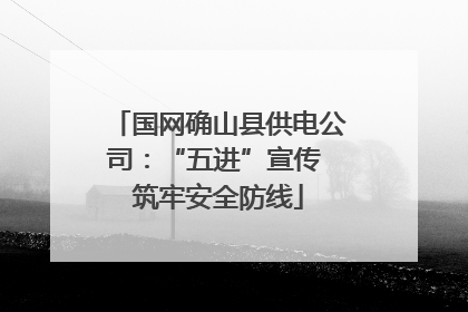 国网确山县供电公司：“五进”宣传 筑牢安全防线