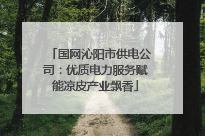 国网沁阳市供电公司：优质电力服务赋能凉皮产业飘香