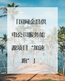 国网金昌供电公司服务能源项目“加速跑”