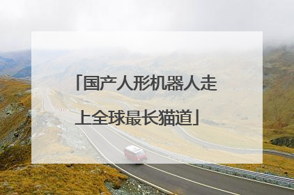 国产人形机器人走上全球最长猫道