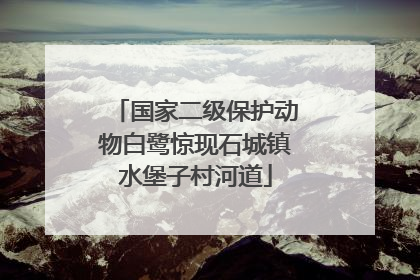 国家二级保护动物白鹭惊现石城镇水堡子村河道