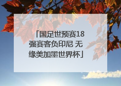 国足世预赛18强赛客负印尼 无缘美加墨世界杯