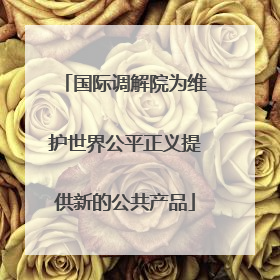国际调解院为维护世界公平正义提供新的公共产品