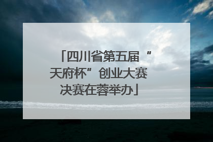 四川省第五届“天府杯”创业大赛决赛在蓉举办