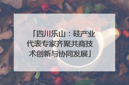 四川乐山：硅产业代表专家齐聚共商技术创新与协同发展